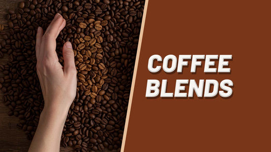 The Art of Coffee Blends: Balance, Depth & Harmony in Every Cup