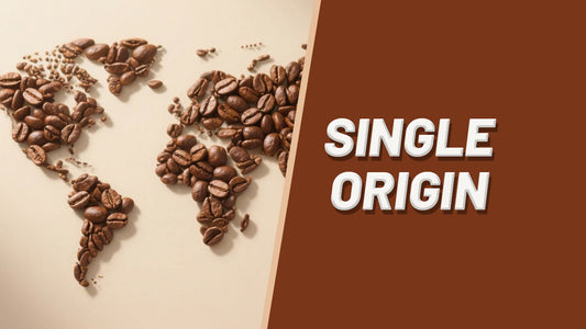 The Beauty of Single Origin Coffee: Discover the World in a Cup